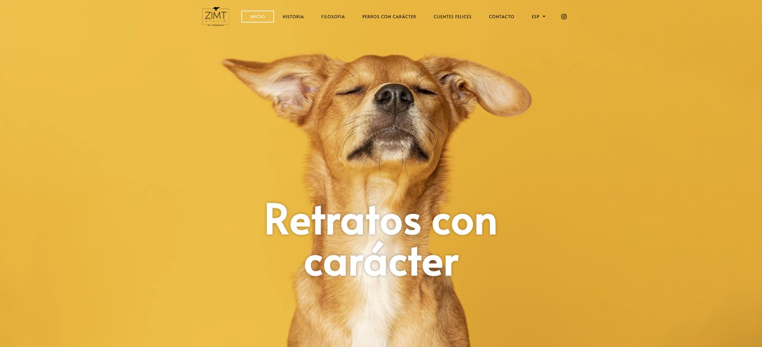 Zimt Studio - Diseño Web Huexs