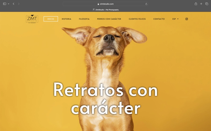 zimt